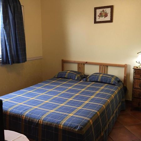 Guest House Ribatejo Салватера де Магос Екстериор снимка