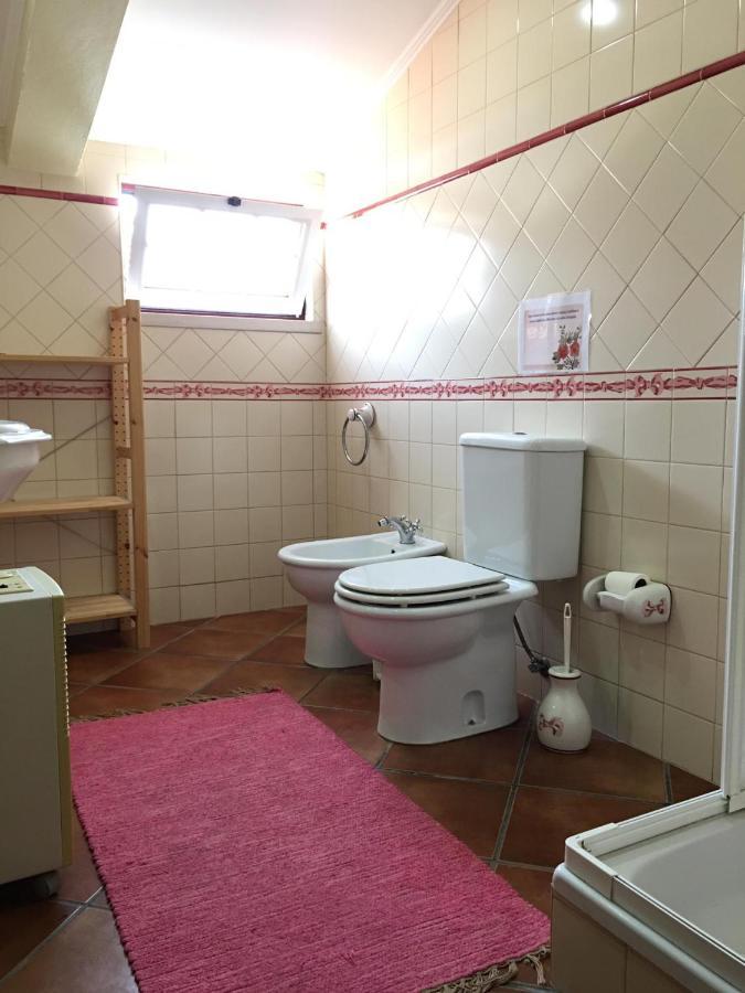 Guest House Ribatejo Салватера де Магос Екстериор снимка