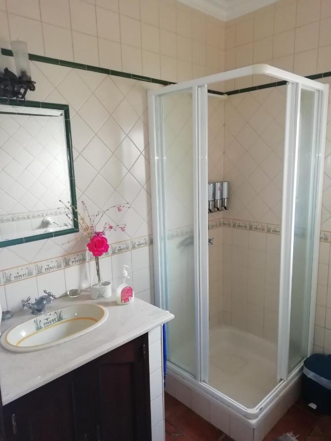 Guest House Ribatejo Салватера де Магос Екстериор снимка