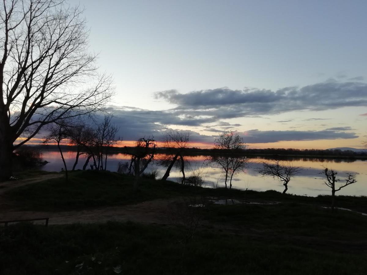 Guest House Ribatejo Салватера де Магос Екстериор снимка